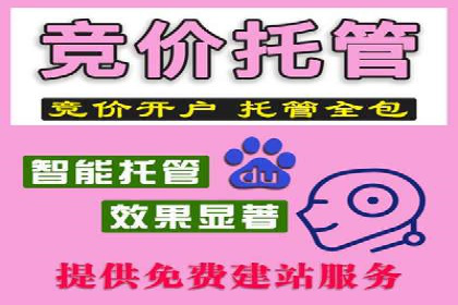 某某SEM服务公司成功案例：提升品牌曝光度